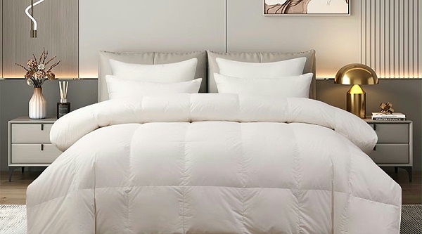 5c503df5-1b4a-408d-803d-1f8244a7883b