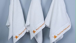 梦妃丝：把五星级酒店的毛巾体验搬回家