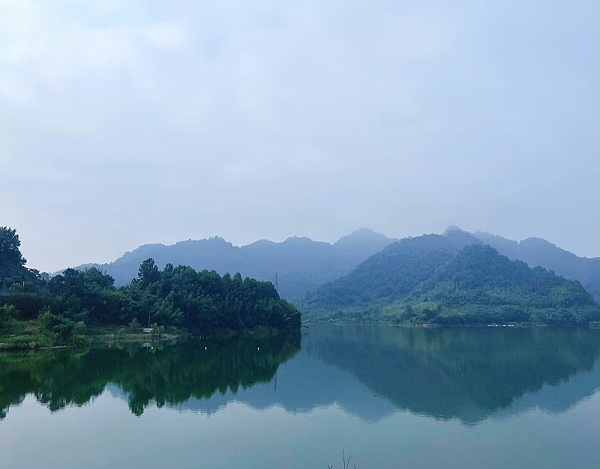 64111e77-0656-4fb9-b167-0fc715a1ee27