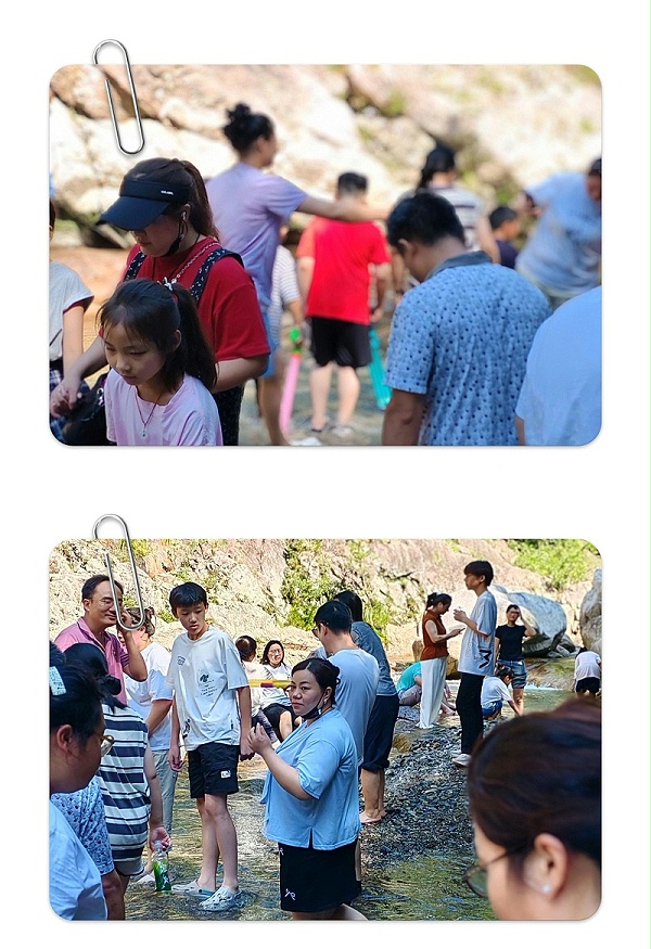 74164667-e6b6-4a20-8ff0-03705694e24f