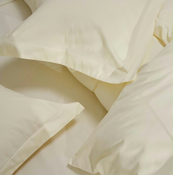 2ef913e43a3ca068ccb134290a05234b